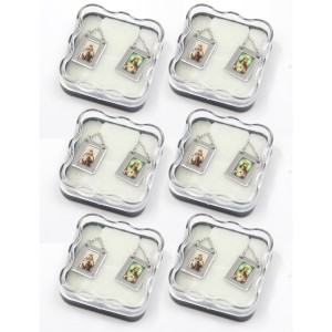 ES43007P6 - Escapulário N. Sra. Do Carmo Aço Inox c/ 6un. - 61,7x1,3cm (R086)