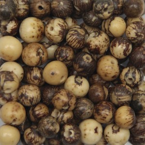 CTM1210109P1000 - Contas Bolinhas Açaí Castor c/ Aproximadamente 1000un. - 8mm